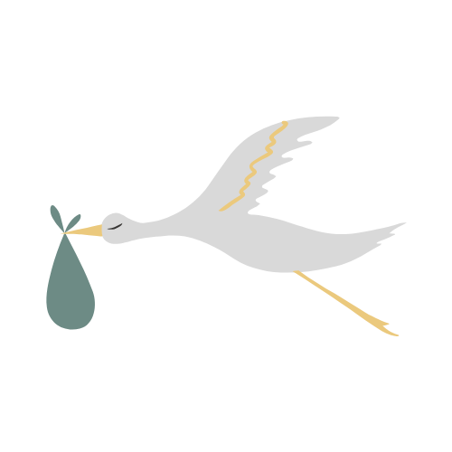 Stork carrying a baby bundle